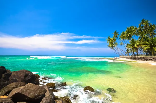 Lado playa Sri Lanka Fotos de stock libres de derechos