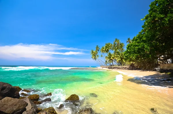 Lado playa Sri Lanka Imágenes de stock libres de derechos