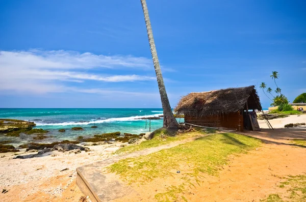 Tropisch strand Stockafbeelding