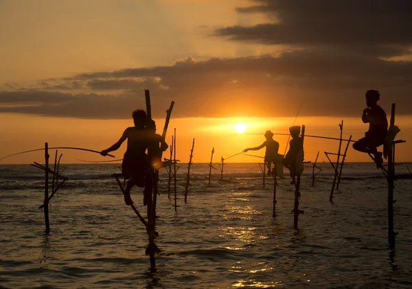 Pescador local pesca en Sri Lanka , — Foto de Stock