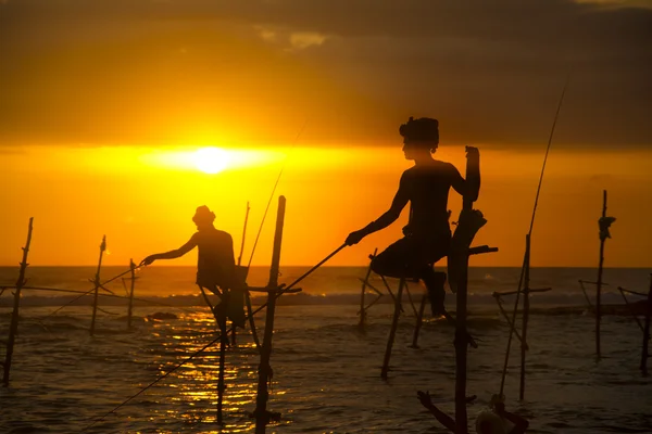 Pescador local pesca en Sri Lanka , — Foto de Stock