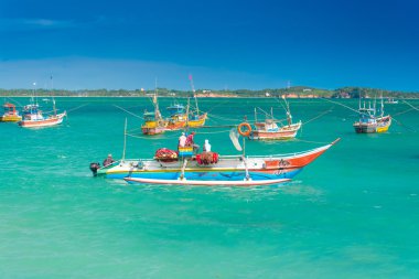 balıkçı tekneleri