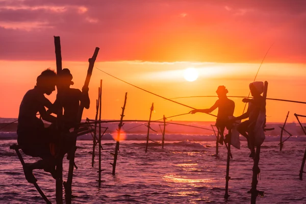 Fishermen fishing in unique style — Stock Photo, Image