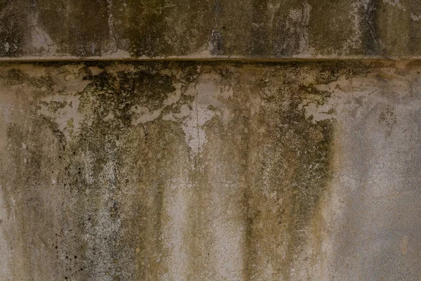 Closeup Van Textuur Beschimmelde Muren — Stockfoto