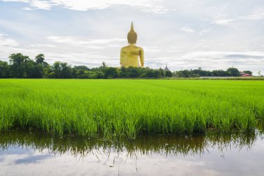 Wat Muang, Ang Thong Eyaleti, Tayland 'da arazisi olan büyük Buda heykeli..