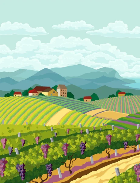 Paisaje rural — Vector de stock