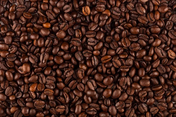 Coffee beans — Stock Photo, Image