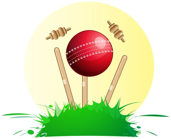 Sport di cricket - Illustrazione — Vettoriale Stock