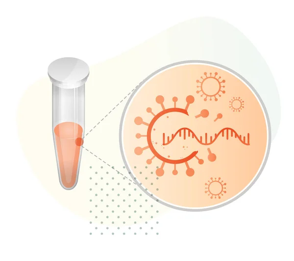 Nukleinsäure Amplifikation Pcr Testverfahren Abbildung Als Eps Datei — Stockvektor