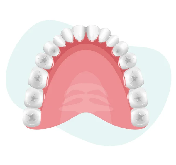Dental Checkup Upper Teeth Stock Illustration Eps File — Archivo Imágenes Vectoriales
