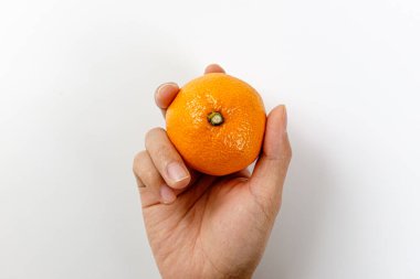 sweet fruit. fruits eaten in winter. orange food. sweet and sour fruit