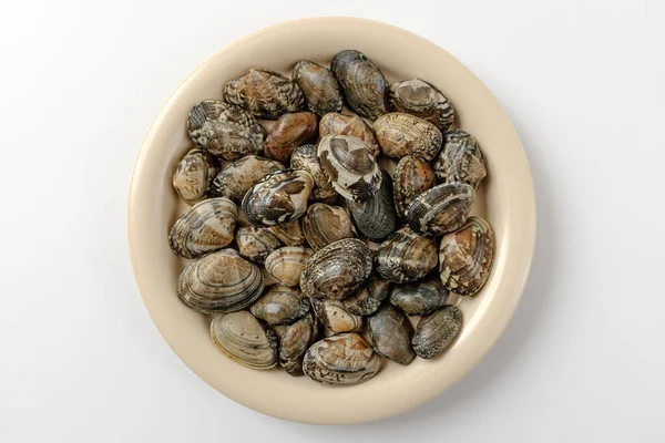 Kagylófajtát Kagylók Használt Erőleves Összetevőket Kis Méretű Kagylók — Stock Fotó