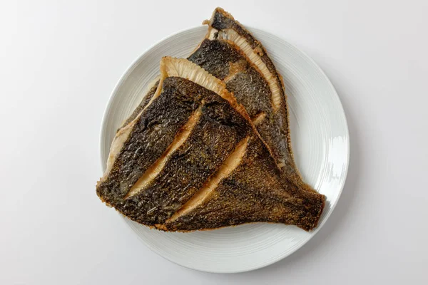 시체는 Halibut 새로움 과부드러움을 — 스톡 사진