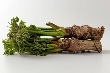 Ağaçta asılı sebzeler. Kore yemek kültürü. güçlü aromalı sebzeler