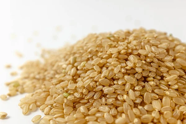 Eine Der Getreidesorten Braunkorn Reis Ungeschliffen — Stockfoto