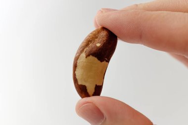 Lezzetli fındık Yenilebilir tohumlar. Brezilya yemek kültürü