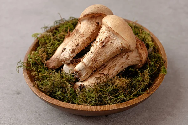 Kind Mushroom Mushrooms Resembling Matsutake Mushrooms Combination Shiitake Matsutake Mushrooms — Stock Photo, Image
