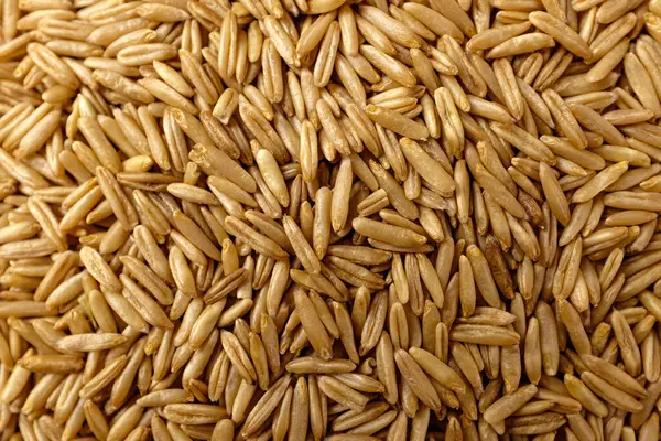 Uncooked Healthy Whole Grain Oats — Stock Fotó