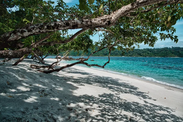 Widok Morze Piękne Morze Andaman Wokół Magicznej Wyspy Koh Lipe — Zdjęcie stockowe