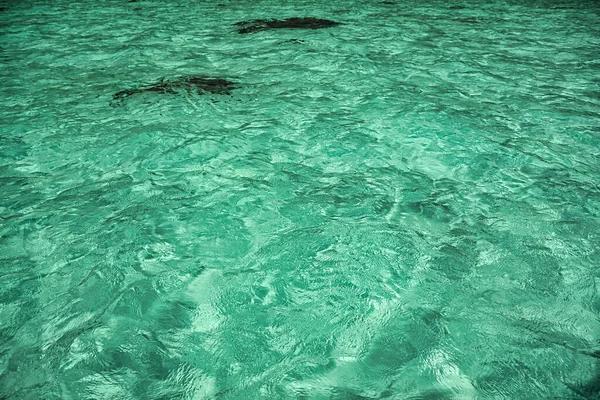 Água Cristalina Turquesa Nas Margens Ilha Mágica Koh Lipe — Fotografia de Stock