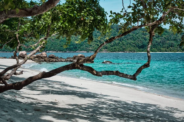 Büyülü ada Koh Lipe etrafındaki güzel Andaman denizinin deniz manzarası.