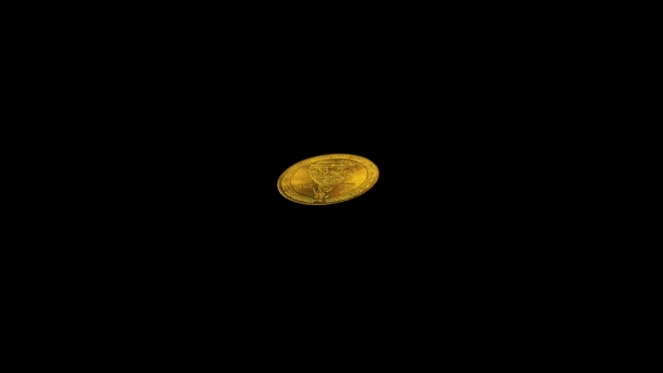 Monetą (rosyjski 10 rumowiska, złoty) z kanału alfa — Wideo stockowe
