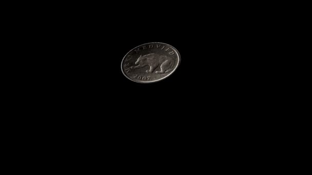 Подбрасывание монеты (хорватский 5 кун) с альфа — стоковое видео