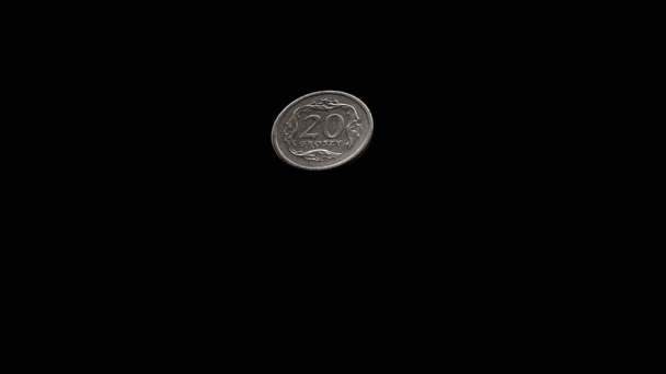 硬币 (波兰 20 groszy) 与阿尔法 — 图库视频影像