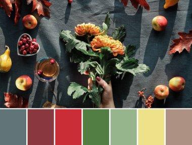 Turuncu kasımpatı çiçekleri, kuru tavşan kuyruğu otları, kırmızı meşe yaprakları, balkabakları, kızılcık renkleri. Sonbahar süslemeleri, üst manzara. Koyu renkli tekstil üzerine yatıyordu..