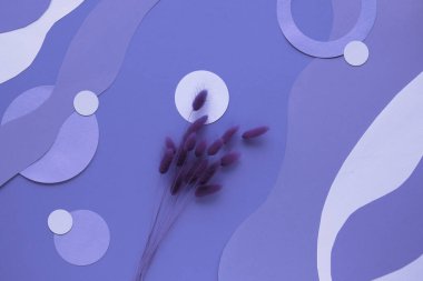 Mor çok peri monokrom soyut kağıt arka plan, kuru tavşan kuyruğu çimenleri ve kesilmiş ve katmanlı kağıttan doğal organik şekiller..