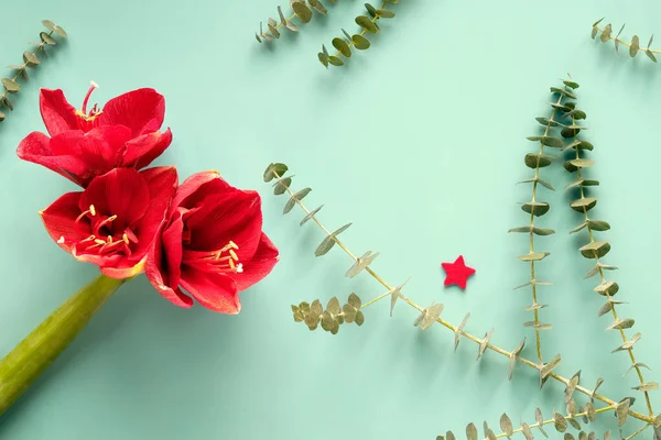 Mavi Naneli Arkaplanda Okaliptüs Yapraklı Kırmızı Amarillis Çiçekleri Yıldızları Hissetti — Stok fotoğraf
