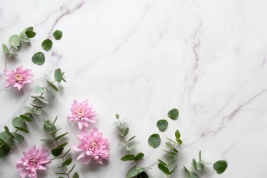 Kışın okaliptüs ve pembe kasımpatı çiçekleri. Kış düzlüklerinde kokulu okaliptüs dalları ve kış çiçekleri vardı. Üst görünüm kapalı beyaz mermer, kopyala-boşluk.