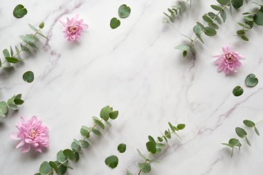 Kışın okaliptüs ve pembe kasımpatı çiçekleri. Panoramik afiş resmi. Kış düzlüklerinde kokulu okaliptüs dalları ve romantik kış çiçekleri vardı. Üst görünüm beyaz mermer masa üzerinde.