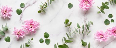 Taze okaliptüs ve pembe kasımpatı çiçekleri. Panoramik afiş resmi. Kış düzlüklerinde kokulu okaliptüs dalları ve romantik kış çiçekleri vardı. Üst görünüm beyaz mermer masa üzerinde.