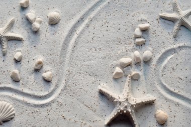 Deniz kabukları, deniz yıldızı ve çakıl taşlarıyla kumlu arka plan. Kum yüzeyindeki beyaz taşlardan. Yaz mevsimi monokromatik düz yatış. Yaz plajı süslemeleri, dekoratif üst manzara..