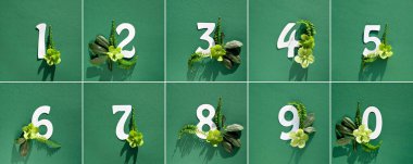 Beyaz kağıt 1 'den 10' a, yeşil 'e 0. Beyaz ve yeşil helleborus kış çiçekleri, yeşil arka planda eğreltiotu yaprakları. Çiçek aranjmanı, kare düzlük. Birleşik resim, tasarım ögeleri