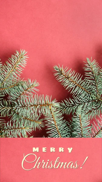 Red Green Christmas Banner Simple Minimal Undecorated Fir Twigs Panorama — Stock Photo, Image