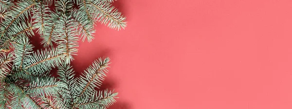 Bannière Noël Verte Rouge Avec Brindilles Sapin Simples Non Décorées — Photo