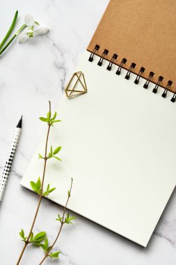 Boş albümlü bir model, sarmal ciltli bir defter. Taze bahar yaprakları beyaz mermer taştan arka planda. Geometrik metal klips klasörü. Kopyalama alanı, harf, karşılama metniniz için yer.