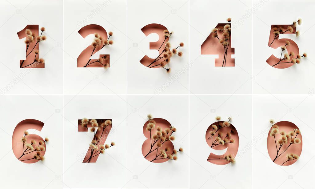 Beige cut out number shapes with dry grass and flowers. Numbers one to ten with dry twigs on off white paper background.