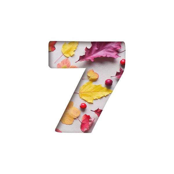 Number seven shape cut out of white paper. Red, yellow, orange Autumn leaves, berries on beige paper visible through paper cut shaped as number 7.