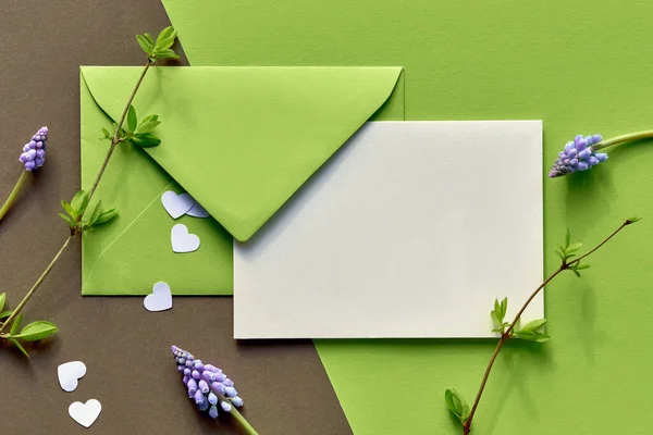 Fundo Primavera Tons Verde Envelope Papel Com Flores Jacinto Uva — Fotografia de Stock