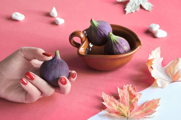 테라코타 그릇에 보라색 자홍색 무화과 과하얀 호박을 단풍나무 — 스톡 사진