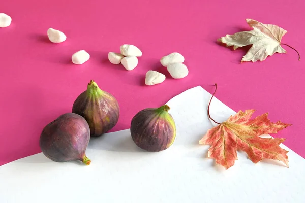 자주색 자주색 무화과는 생동감 넘치는 푸크시아와 열매를 맺습니다 단풍나무 계절의 — 스톡 사진