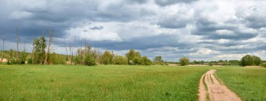 Dramatik gökyüzü ile tarlalar arasında yol. Baharda arpa tarlaları, açık yeşil ve gri panoramik kompozisyon. Almanya, Brandenburg 'un kuzeyindeki kırsal bölge Berlin' den.