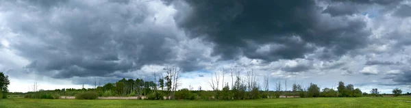 Springtime Germany Dead Forest Swampland Dramatic Stormy Sky Panoramic Bannercomposition — Stockfoto