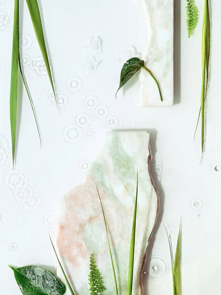 Vattenväxter Och Trasiga Färgade Marmorstenar Klipp Och Ormbunksgröna Blad Naturligt — Stockfoto