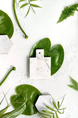 Nilüfer yaprakları ve tomurcukları beyaz arka planda. Mermer tahtada ürün için yeri olan bir model. Doğal güneş ışığı, uzun gölgeler. Su damlalarıyla dümdüz yatıyordu..