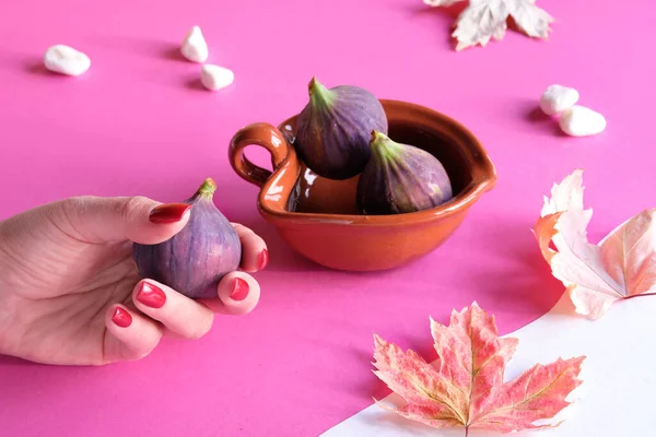 테라코타 그릇에 보라색 자홍색 무화과 푸크시아와 백지로 단풍나무 — 스톡 사진