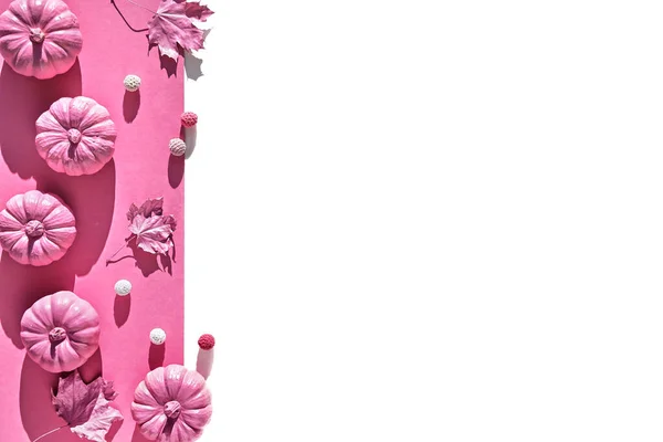 Bordo Fucsia Rosa Con Decorazioni Autunnali Look Monocromatico Con Zucche — Foto Stock